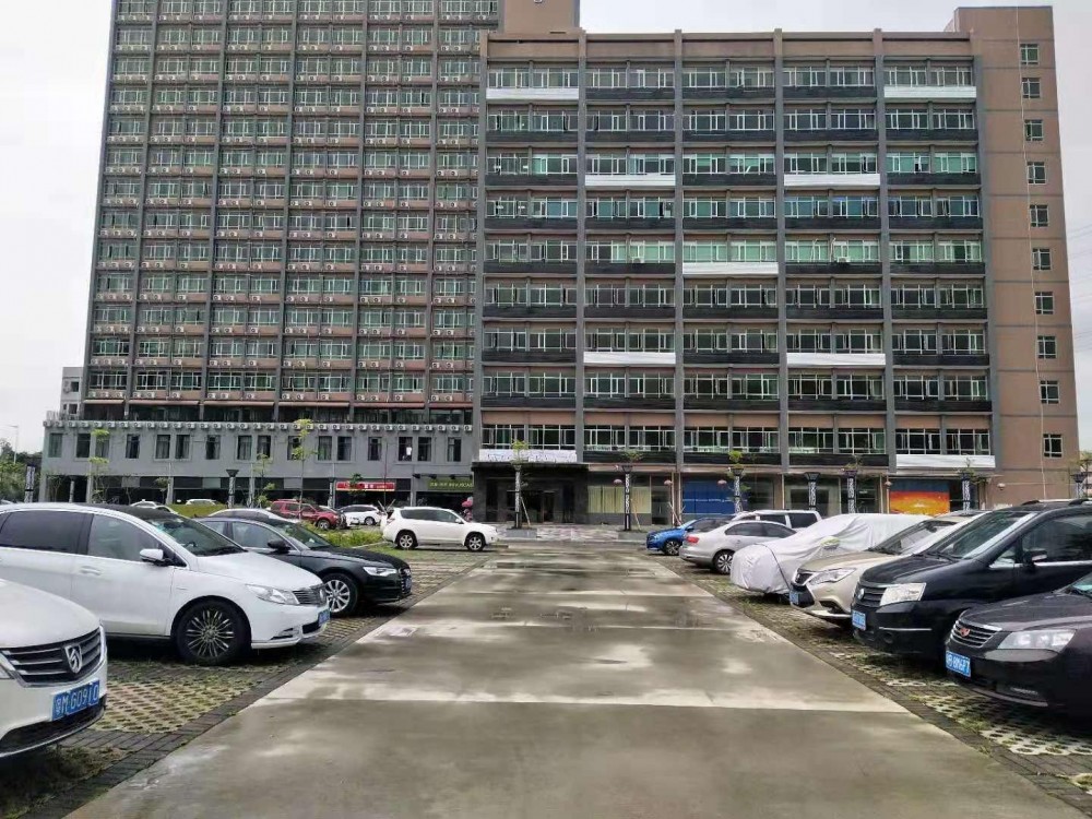 六約新出廠房，價格便宜，形象非常好，空地大好停車，沙荷路旁邊